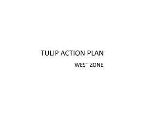 TULIP ACTION PLAN WEST ZONE