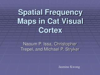 Spatial Frequency Maps in Cat Visual Cortex