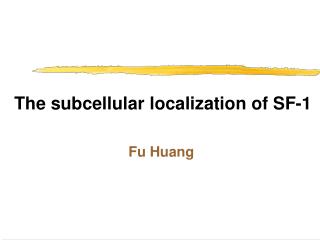 The subcellular localization of SF-1