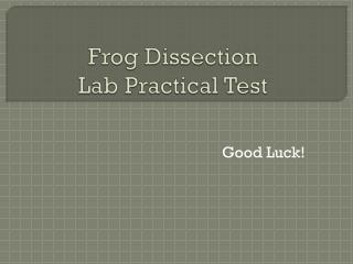 Frog Dissection Lab Practical Test