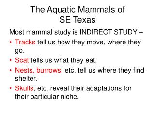 The Aquatic Mammals of SE Texas