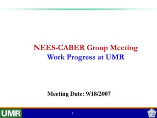 NEES-CABER Group Meeting Work Progress at UMR