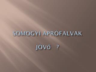 Somogyi Aprófalvak jövő ?