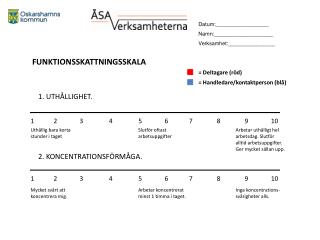 FUNKTIONSSKATTNINGSSKALA