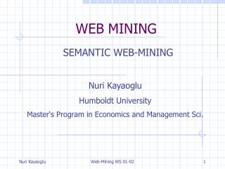 WEB MINING