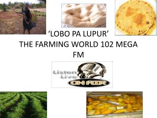 ‘LOBO PA LUPUR’ THE FARMING WORLD 102 MEGA FM by Amito Grace