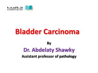 Bladder Carcinoma