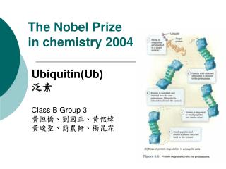 The Nobel Prize in chemistry 2004