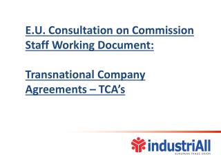 E.U. Consultation on Commission Staff Working Document: Transnational Company Agreements – TCA’s