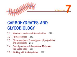 The two families of monosaccharides are aldose and ketoses