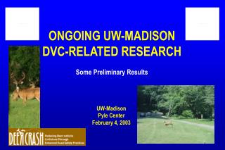 ONGOING UW-MADISON DVC-RELATED RESEARCH Some Preliminary Results