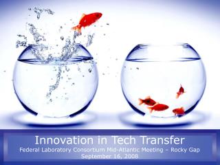 Innovation in Tech Transfer Federal Laboratory Consortium Mid-Atlantic Meeting – Rocky Gap