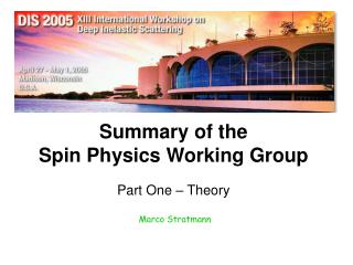Summary of the Spin Physics Working Group