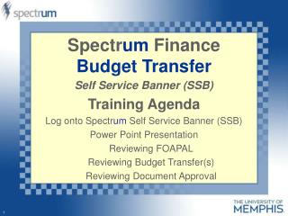 Spectr um Finance Budget Transfer