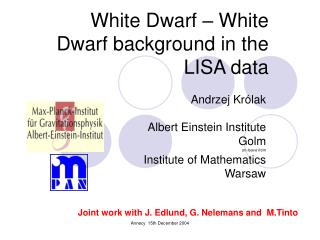 White Dwarf – White Dwarf background in the LISA data