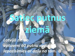 Satiec putnus ziemā