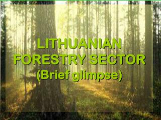 LITHUANIAN FORESTRY SECTOR (Brief glimpse)