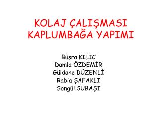 KOLAJ ÇALIŞMASI KAPLUMBAĞA YAPIMI