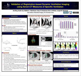Validation of Registration-based Dynamic Ventilation Imaging