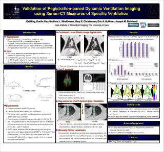 Validation of Registration-based Dynamic Ventilation Imaging