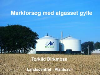 Markforsøg med afgasset gylle