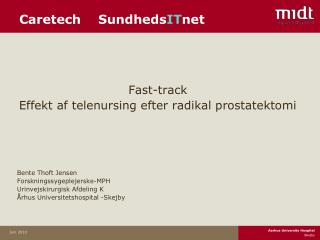 Caretech Sundheds IT net