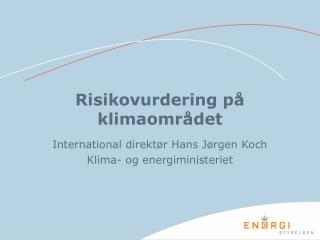 Risikovurdering på klimaområdet