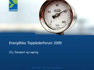 EnergiRike Topplederforum 2009