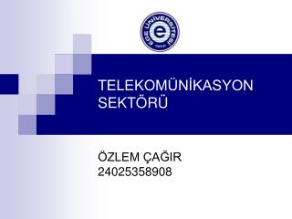 TELEKOMÜNİKASYON SEKTÖRÜ