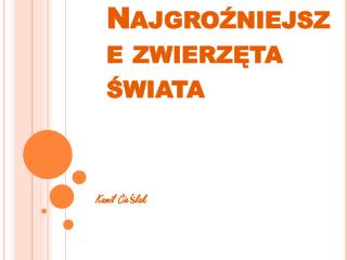 Najgroźniejsze zwierzęta świata