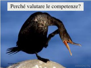 Perché valutare le competenze?