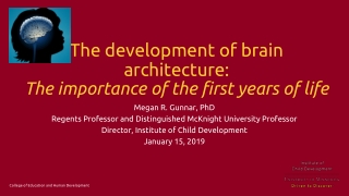 The development of brain architecture: The importance of the first years of life