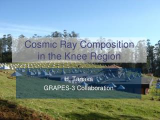 Cosmic Ray Composition in the Knee Region