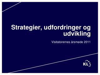 Strategier, udfordringer og udvikling