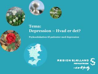 Tema: Depression – Hvad er det? Psykoedukation til patienter med depression