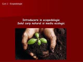 Curs 1 - Ecopedologie