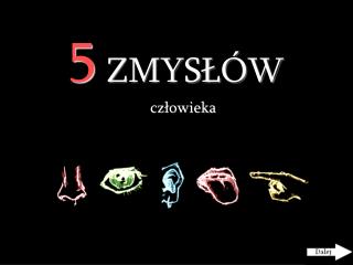 5 ZMYSŁÓW