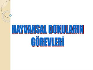 HAYVANSAL DOKULARIN GÖREVLERİ