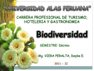 Biodiversidad