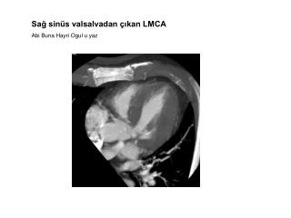 Sağ sinüs valsalvadan çıkan LMCA Abi Buna Hayri Ogul u yaz