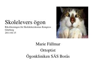Skolelevers ögon Riksföreningen för Skolsköterskornas Kongress Göteborg 2011-04-15