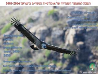 הצצה למאמצי השמירה על אוכלוסיית הנשרים בישראל 2009-2006