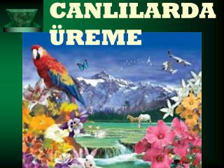 CANLILARDA ÜREME