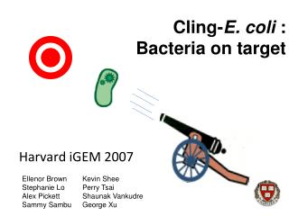 Cling- E. coli : Bacteria on target