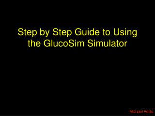 Step by Step Guide to Using the GlucoSim Simulator