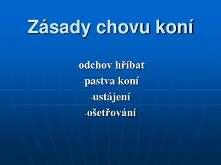 Zásady chovu koní