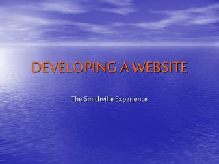 DEVELOPING A WEBSITE