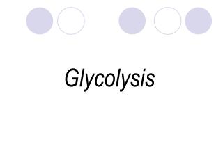 Glycolysis