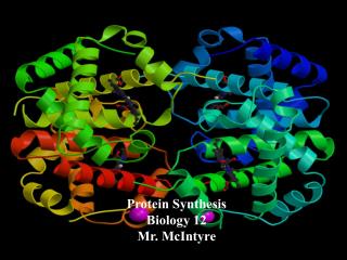 Protein Synthesis Biology 12 Mr. McIntyre