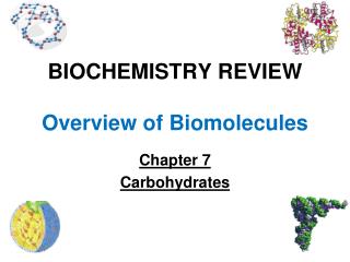 BIOCHEMISTRY REVIEW Overview of Biomolecules